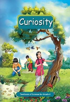 Curiosity: Textbook of Science for Grade 6 by NCERT